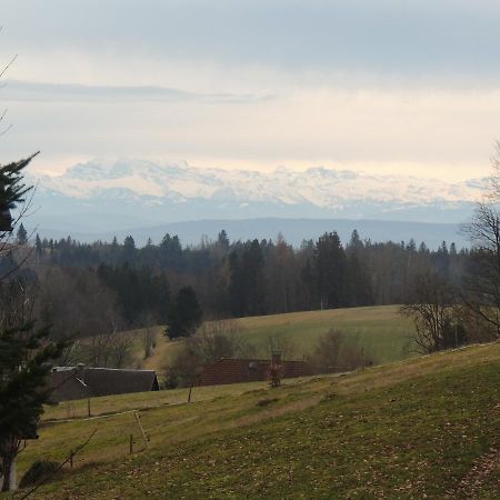 Haus Ingeborg Apartment Dachsberg im Schwarzwald ภายนอก รูปภาพ