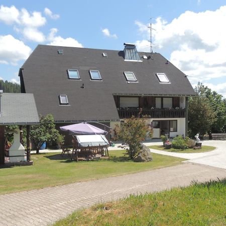 Haus Ingeborg Apartment Dachsberg im Schwarzwald ภายนอก รูปภาพ