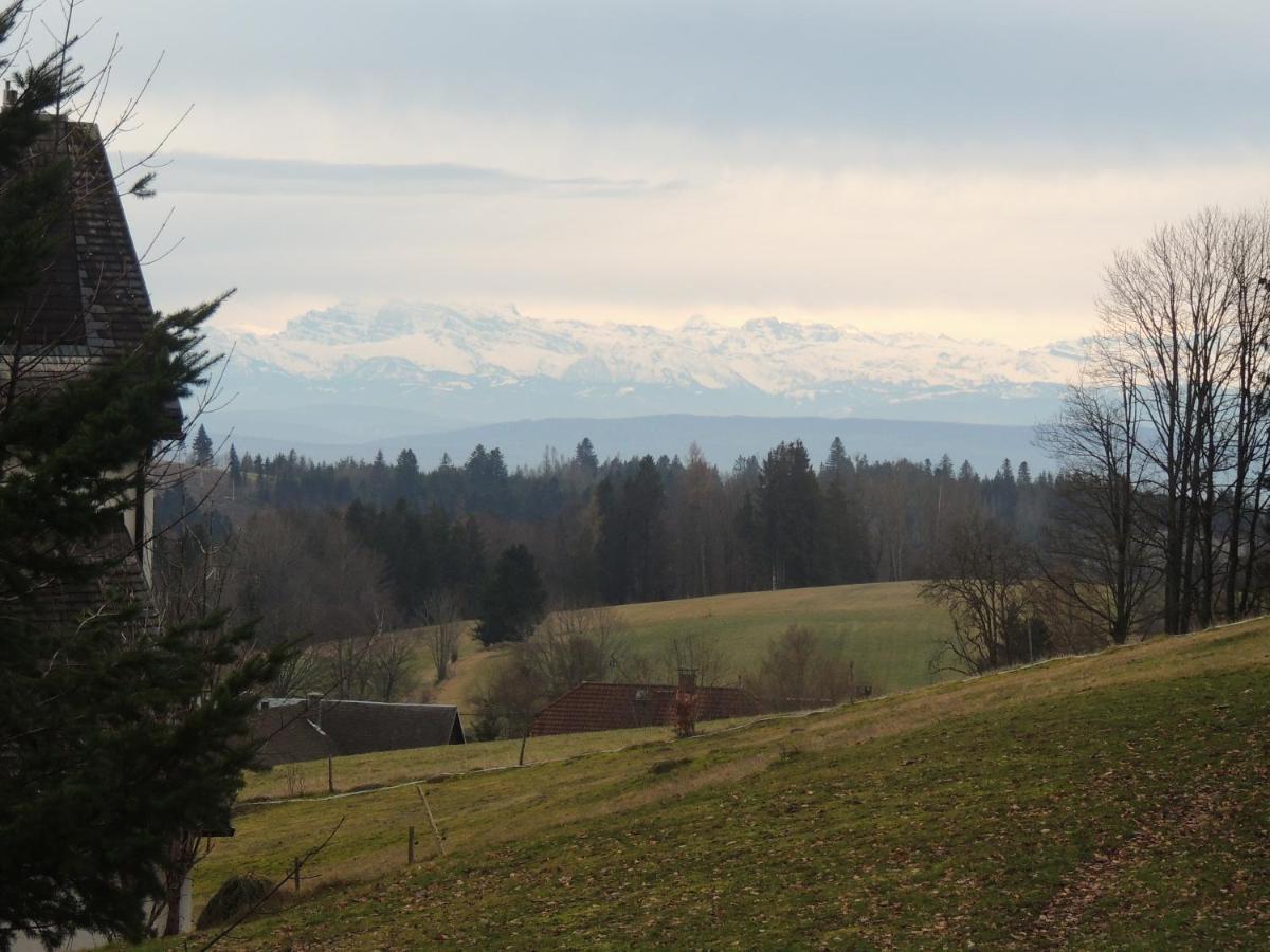 Haus Ingeborg Apartment Dachsberg im Schwarzwald ภายนอก รูปภาพ