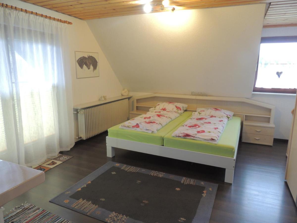 Haus Ingeborg Apartment Dachsberg im Schwarzwald ภายนอก รูปภาพ