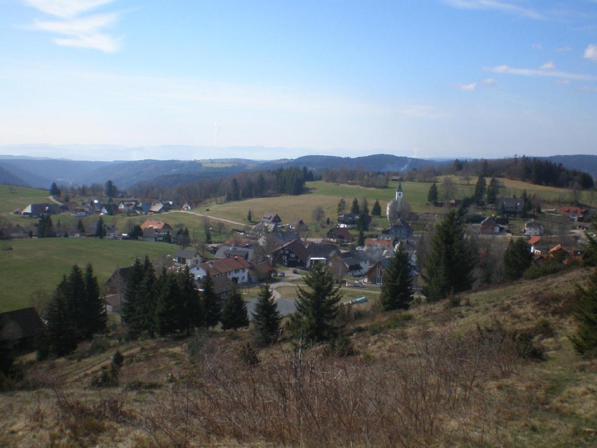 Haus Ingeborg Apartment Dachsberg im Schwarzwald ภายนอก รูปภาพ