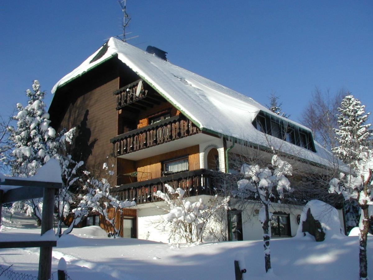 Haus Ingeborg Apartment Dachsberg im Schwarzwald ภายนอก รูปภาพ