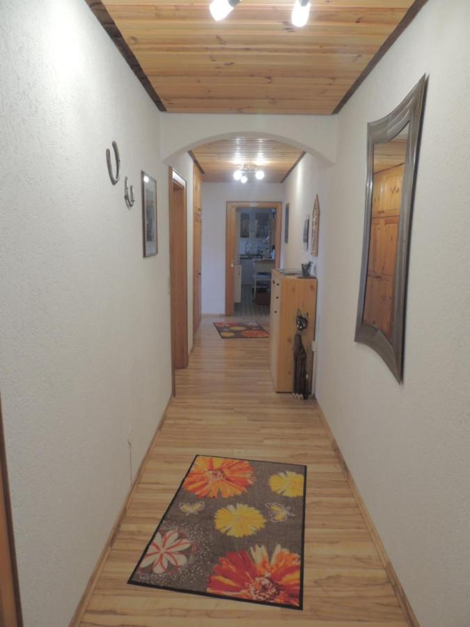 Haus Ingeborg Apartment Dachsberg im Schwarzwald ภายนอก รูปภาพ