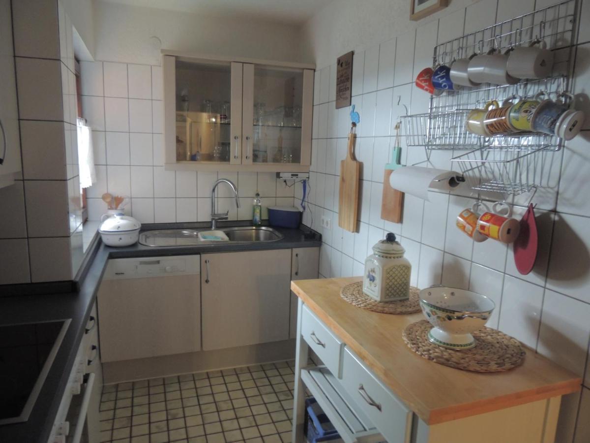 Haus Ingeborg Apartment Dachsberg im Schwarzwald ภายนอก รูปภาพ