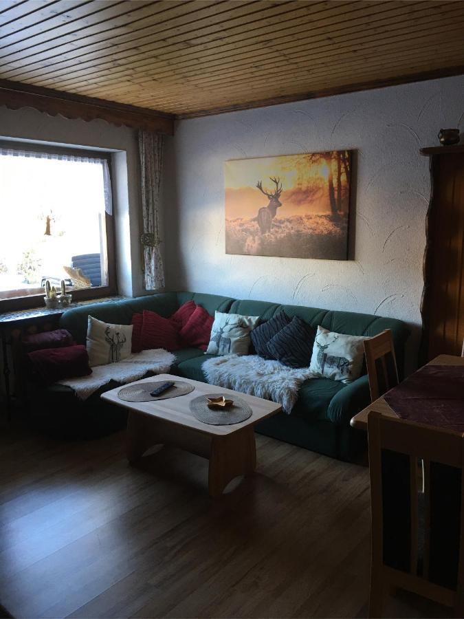 Haus Ingeborg Apartment Dachsberg im Schwarzwald ภายนอก รูปภาพ