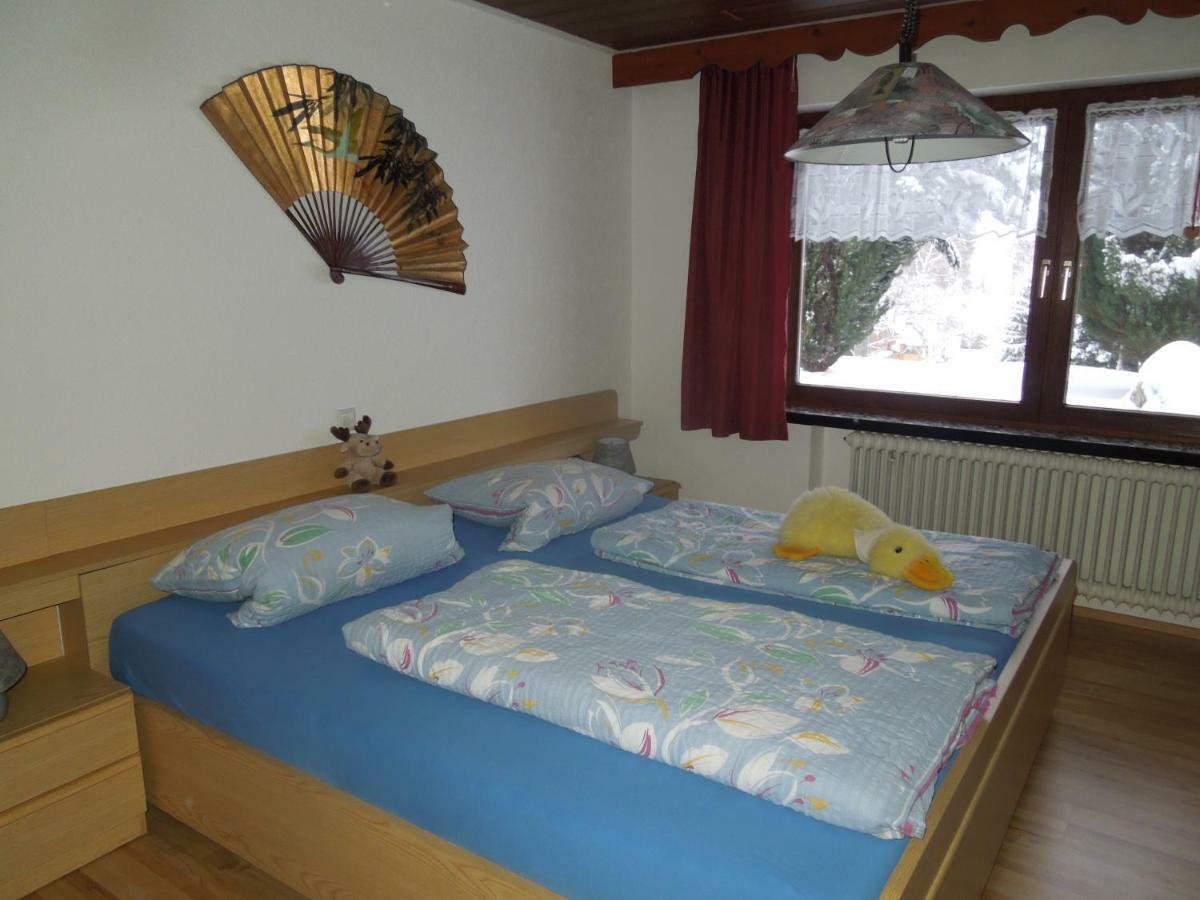 Haus Ingeborg Apartment Dachsberg im Schwarzwald ภายนอก รูปภาพ