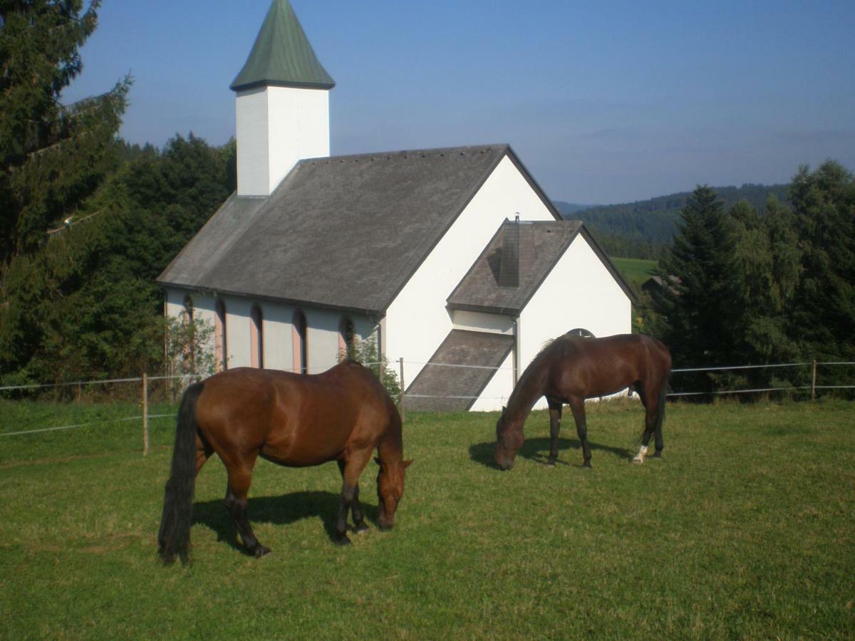Haus Ingeborg Apartment Dachsberg im Schwarzwald ภายนอก รูปภาพ
