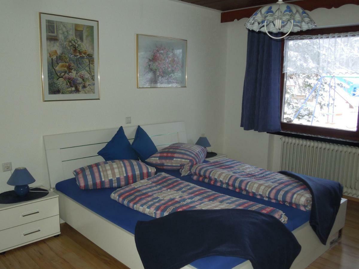 Haus Ingeborg Apartment Dachsberg im Schwarzwald ภายนอก รูปภาพ