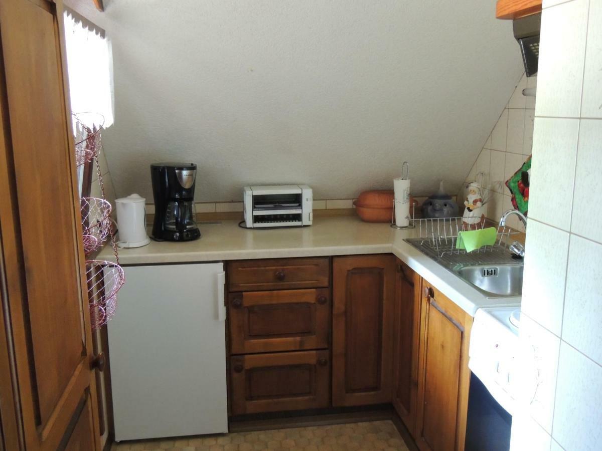 Haus Ingeborg Apartment Dachsberg im Schwarzwald ภายนอก รูปภาพ