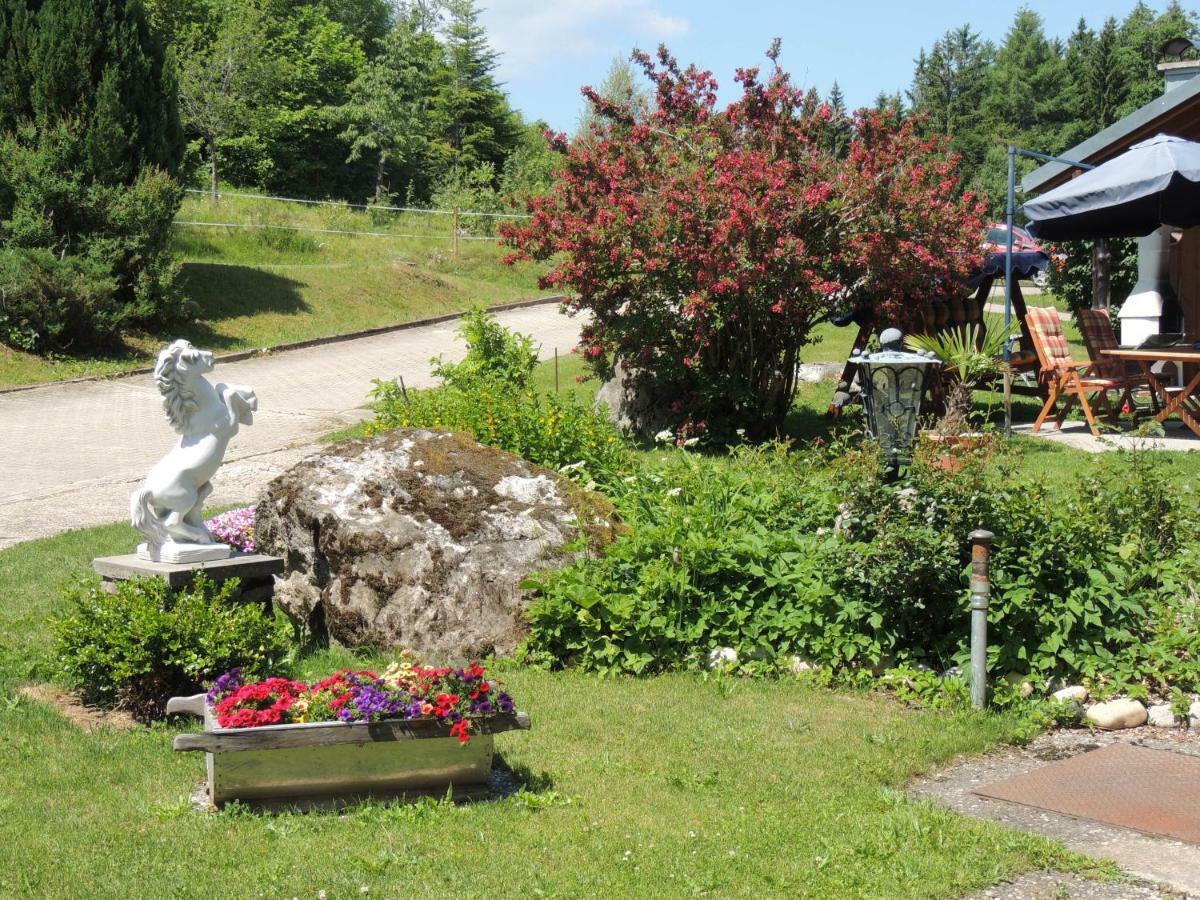 Haus Ingeborg Apartment Dachsberg im Schwarzwald ภายนอก รูปภาพ